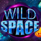 Wild Space